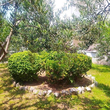 Apartmani Trubi 2 Vodice Exterior foto